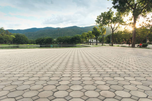 Driveway Pavers for Homes in Bardmoor, FL