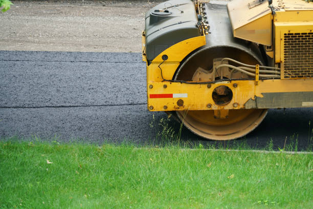 Best Interlocking Driveway Pavers  in Bardmoor, FL